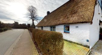 Immobilie Ottenbüttel - Einfamilienhaus mit ELW unter Reet mit 20.000 m² Weide - ideal für Pferdehaltung